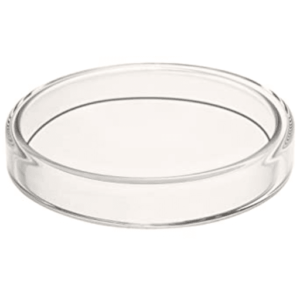 Glass Petri Dish